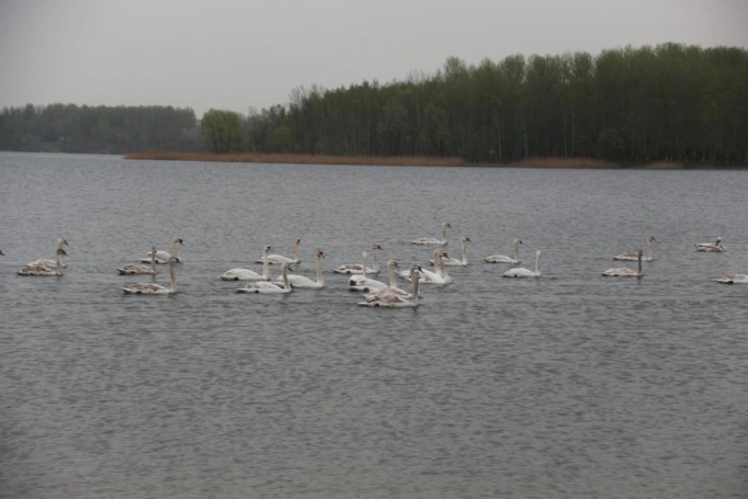 Zdjęcie nr 49 z galerii Wyłoniliśmy najlepszych w Ogólnopolskim Turnieju Klas o Profilu Mundurowym!