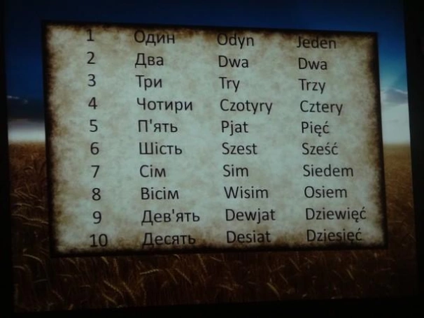 Zdjęcie nr 12 z galerii Wieczorek z  ukraińską kulturą