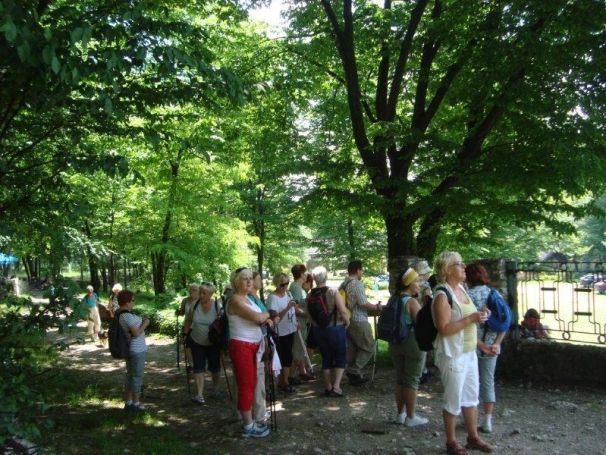 Zdjęcie nr 9 z galerii I Jurajski Rajd UTW-zapraszamy do FOTOGALERII