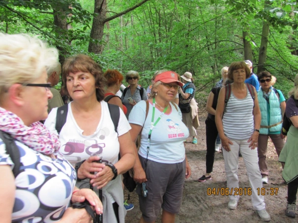 Zdjęcie nr 4 z galerii 4 czerwca - III Jurajski Rajd Uniwersytetów Trzeciego Wieku 