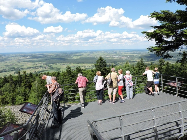 Zdjęcie nr 59 z galerii 18.06.2016 r. – Wycieczka w Góry Świętokrzyskie