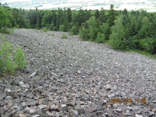 Zdjęcie nr 70 z galerii 18.06.2016 r. – Wycieczka w Góry Świętokrzyskie