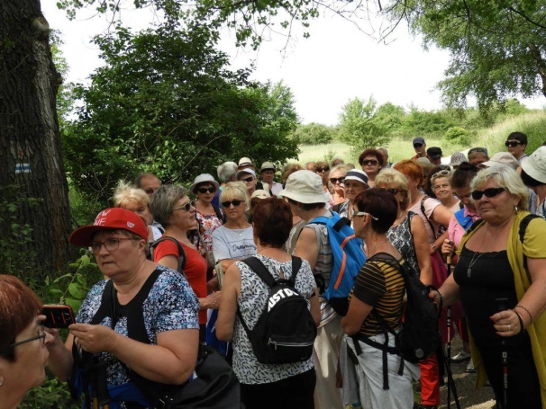 Zdjęcie nr 5 z galerii V Rajd Jurajski z UTW Akademii WSB 