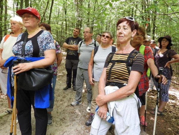 Zdjęcie nr 14 z galerii V Rajd Jurajski z UTW Akademii WSB 