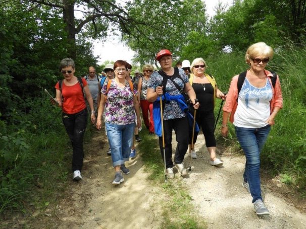 Zdjęcie nr 6 z galerii V Rajd Jurajski z UTW Akademii WSB 