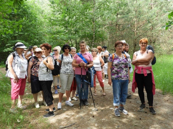 Zdjęcie nr 8 z galerii V Rajd Jurajski z UTW Akademii WSB 