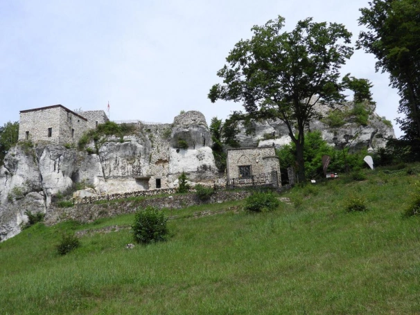 Zdjęcie nr 10 z galerii V Rajd Jurajski z UTW Akademii WSB 