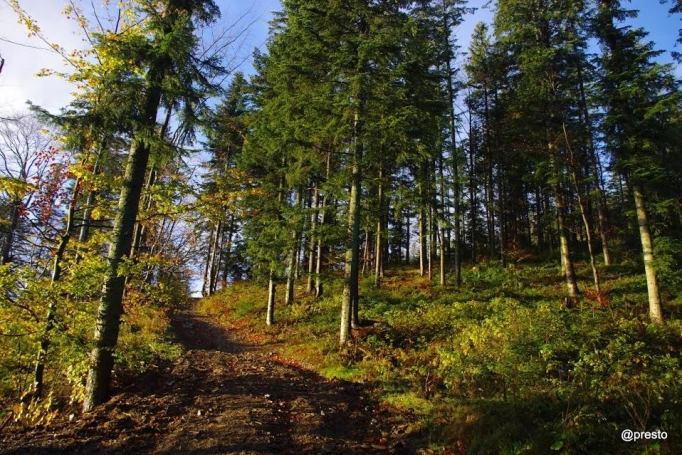 Zdjęcie nr 3 z galerii Rajd Górski - Rysianka 2018