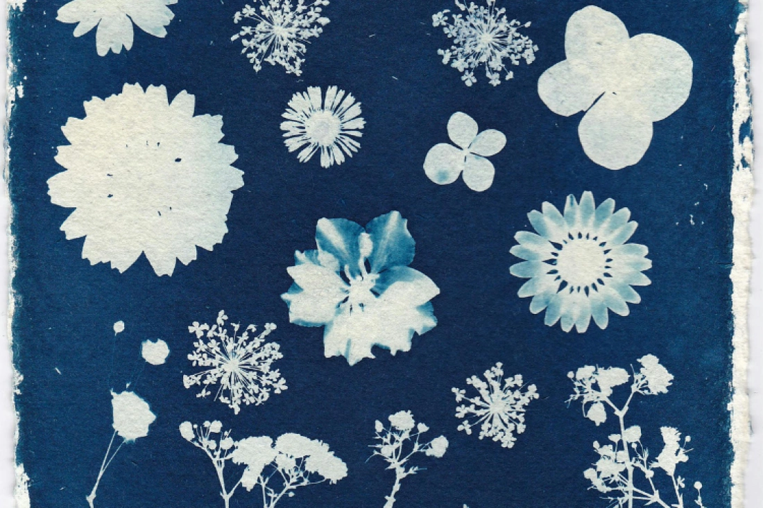 Cyjanotypia, czyli malowanie światłem (warsztaty chemiczne)