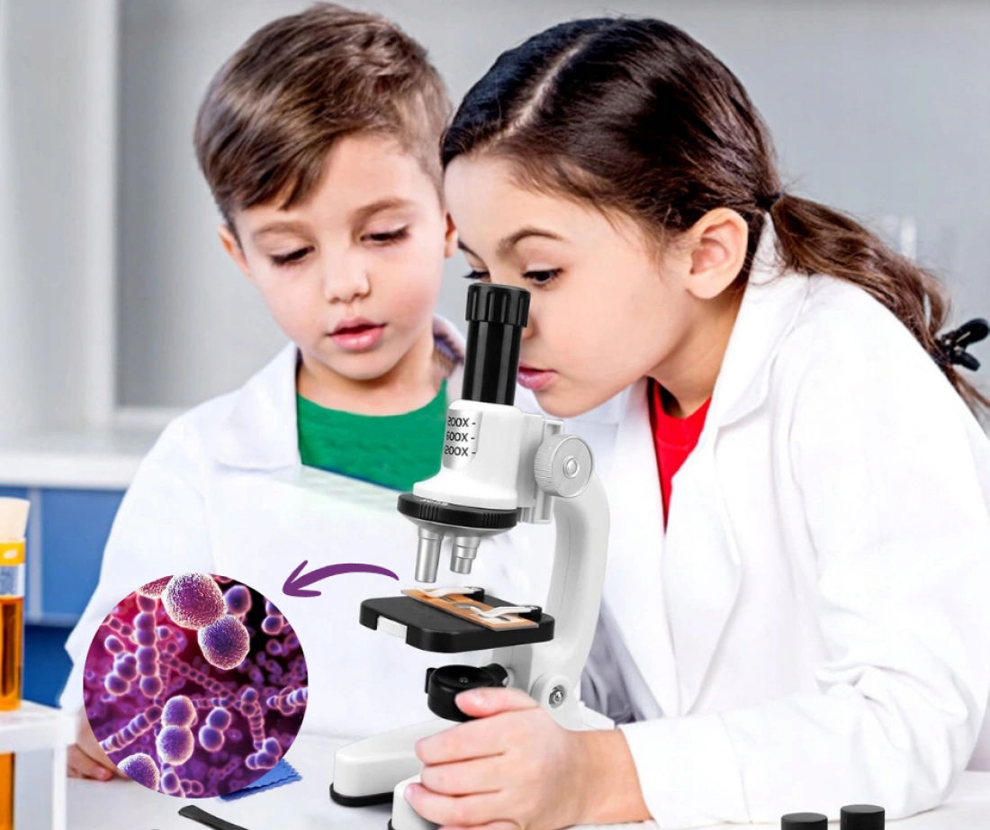 Pasożyty człowieka &ndash; nasi nieproszeni lokatorzy (warsztaty biologiczne)