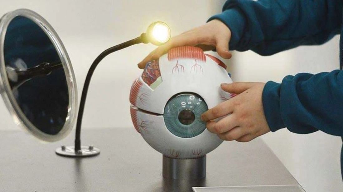 &bdquo;Naoczne warsztaty &ndash; eksperymenty z okiem oraz jego budowa&rdquo; (warsztaty biologiczne)