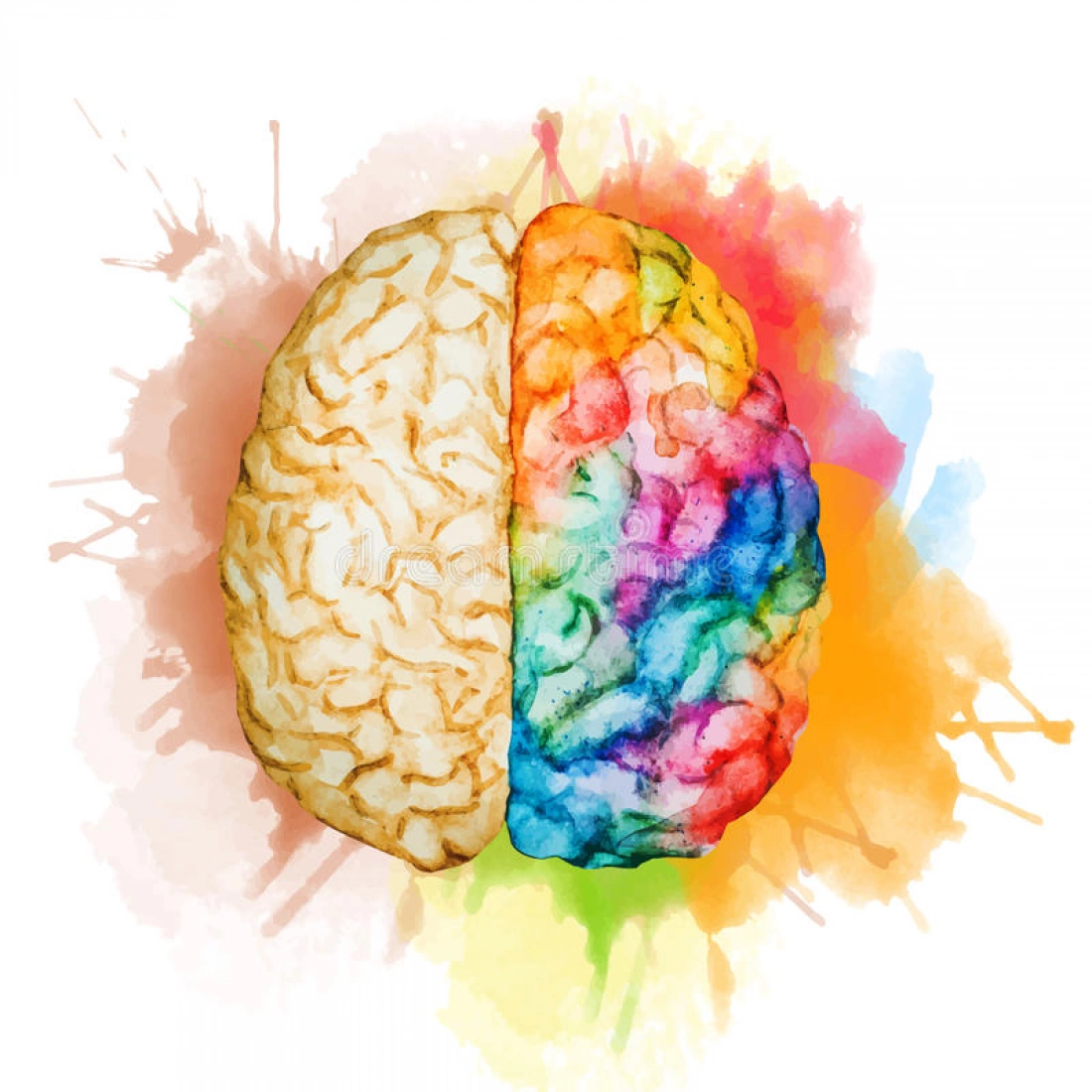 Dwuczęściowy obraz mózgu, z jednej strony w odcieniach beżu, a z drugiej w kolorach tęczy na tle akwarelowych plam.