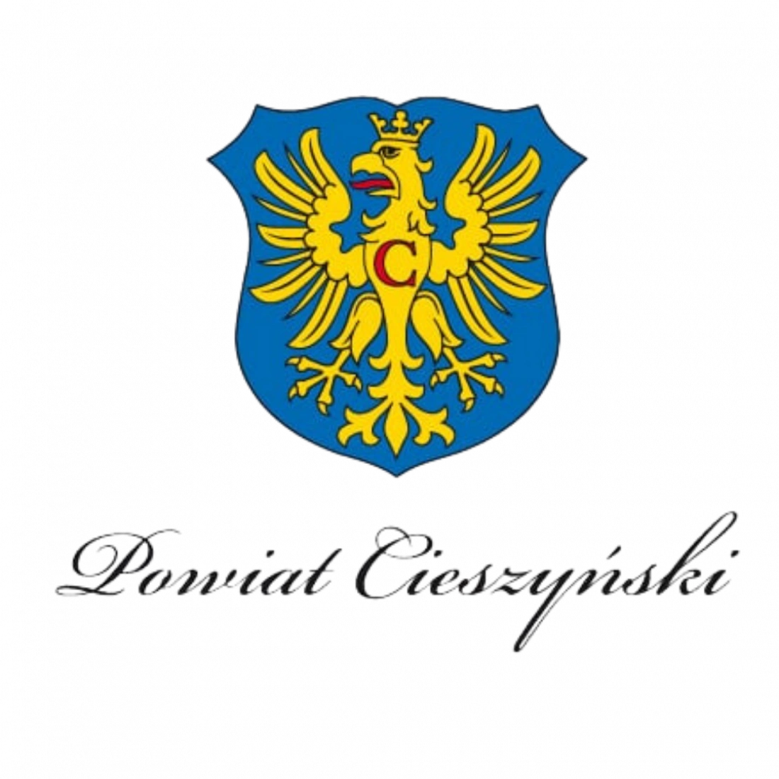 Cieszyn County