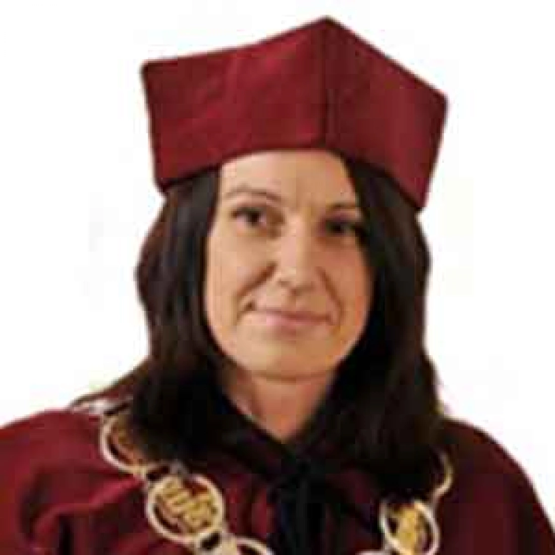 dr hab. Katarzyna Szczepańska-Woszczyna, prof. AWSB, Dziekan Wydziału Nauk Stosowanych