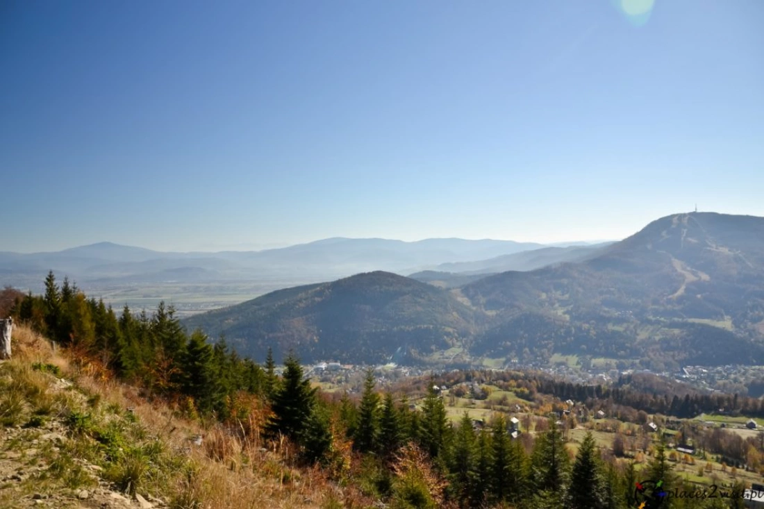 Obrazek przedstawia wieszaki z przezroczystymi pojemnikami, w których znajdują się ośmiornice, na tle kolorowej morskiej sceny z rybami.