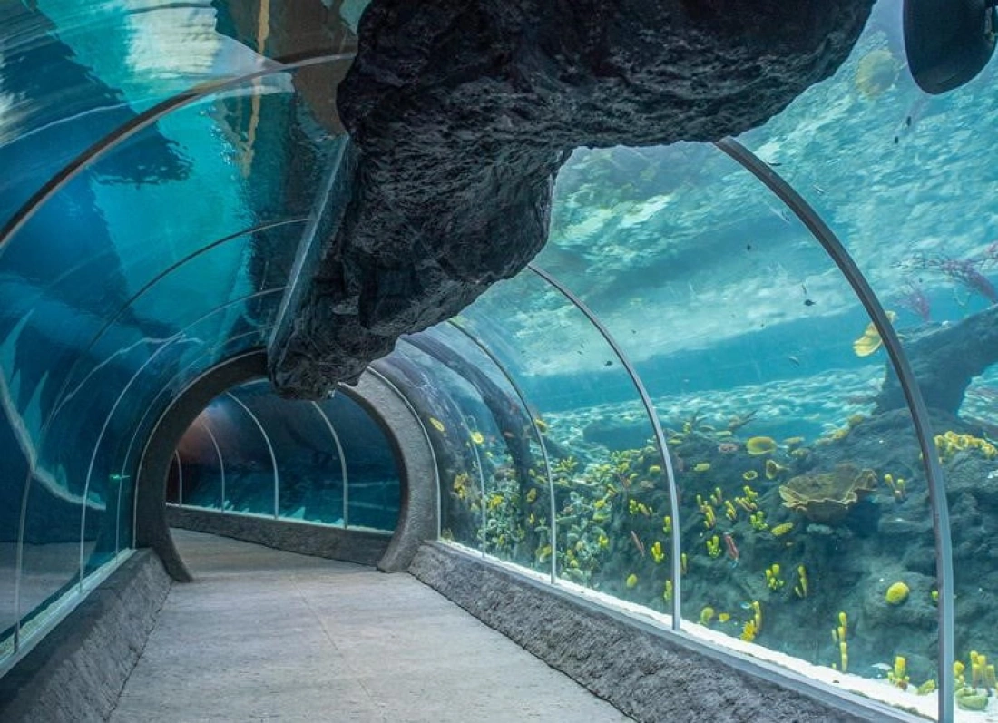 Jaskinia z stalagmity i stalaktyty, odbijające się w krystalicznie czystej wodzie.