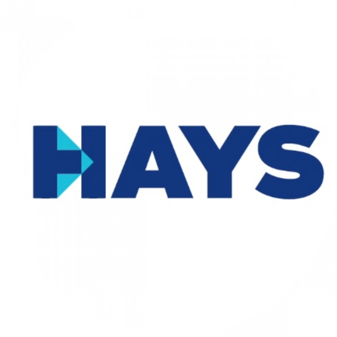 Logo firmy Hays na białym tle.
