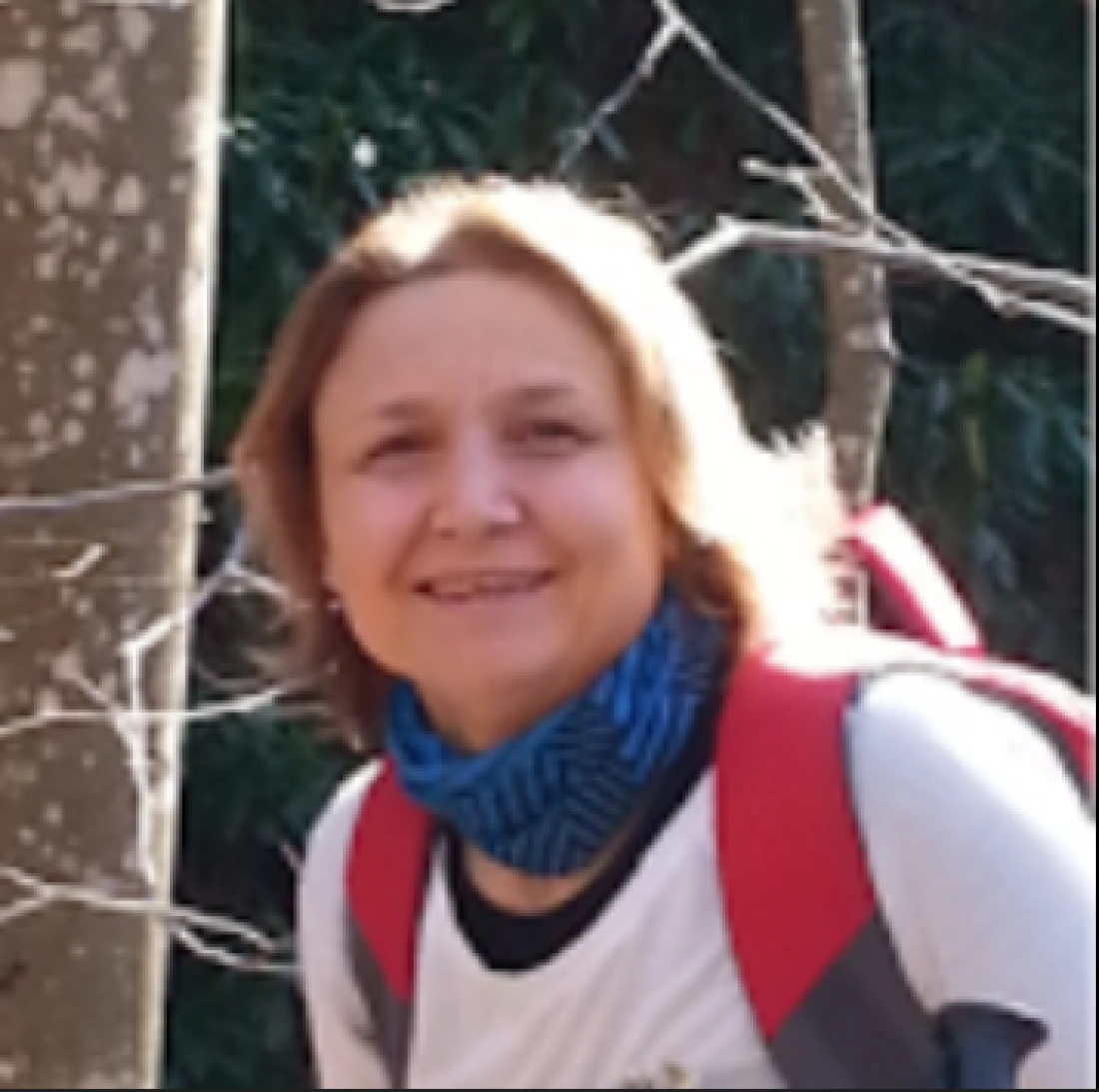 Nurcan &Ouml;zg&uuml;r Baklacıoğlu, Professor