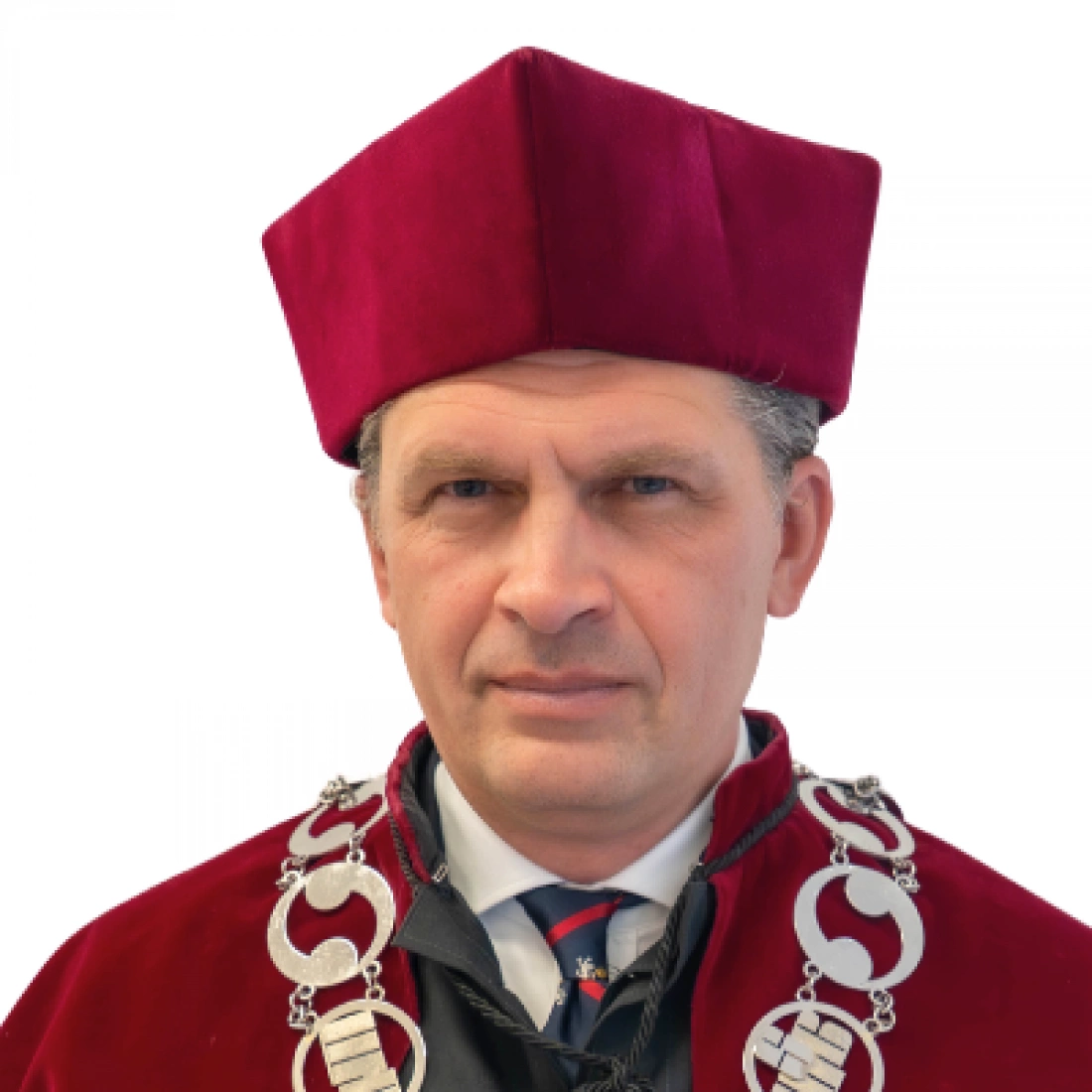 Vice Rector for Internationalization, Collegium Medicum &ndash; Faculty of Medicine