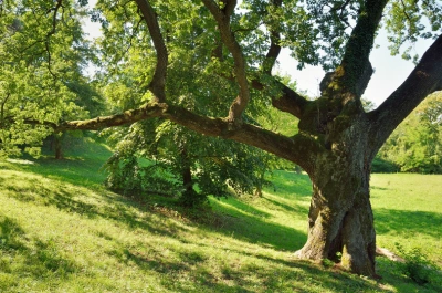 Ilustracja wydarzenia: Inauguracja Uniwersytetu Trzeciego Wieku w Jaworznie 