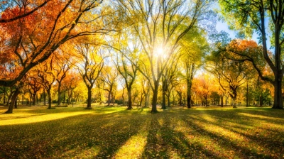 ilustracja aktualności: Harmonogram UTW  AWSB