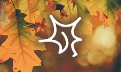 ilustracja aktualności: Jesień Linuksowa w Akademii WSB