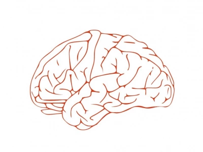 ilustracja aktualności: Uruchomienie dostępu testowego do oprogramowania 3D Organon