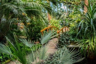 ilustracja aktualności: Harmonogram UTW AWSB 