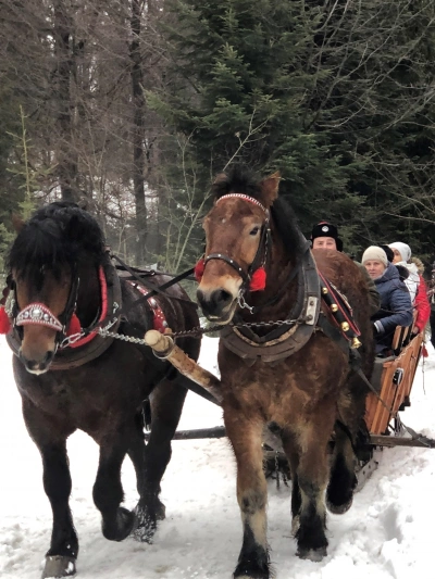 ilustracja aktualności: Zimowe wycieczki UTW