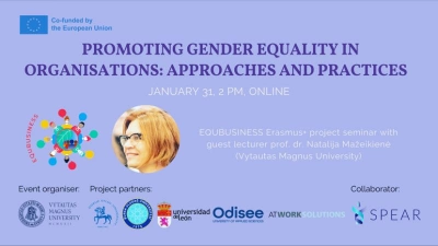 ilustracja aktualności: Promoting Gender Equality in Organisations: Approaches and Practices