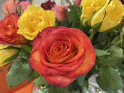 ilustracja aktualności: Dzień kobiet UTW Akademii WSB