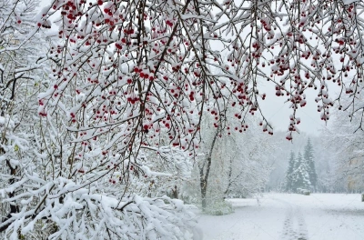 ilustracja aktualności: Harmonogram UTW  AWSB