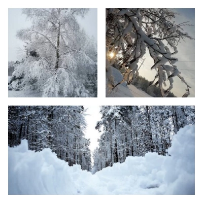 ilustracja aktualności: Harmonogram UTW AWSB -  LUTY 2024