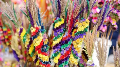 ilustracja aktualności: Niedziela  Palmowa  w  Imbramowicach 