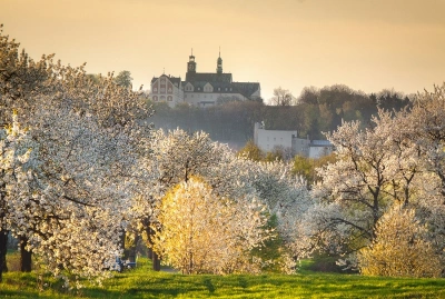 ilustracja aktualności: Zamek w Mosznej i Góra św. Anny