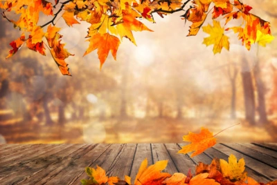 ilustracja aktualności: Kalendarz UTW AWSB