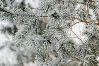 ilustracja aktualności: Harmonogram UTW  AWSB