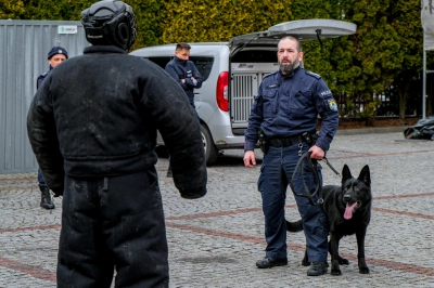 ilustracja aktualności: Zaproszenie na Dzień Bezpieczeństwa Akademii WSB - 31.01.2025r.