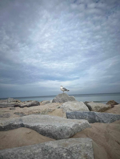 ilustracja aktualności: Wyjazd do Trójmiasta