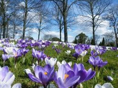 ilustracja aktualności: MARZEC 2025