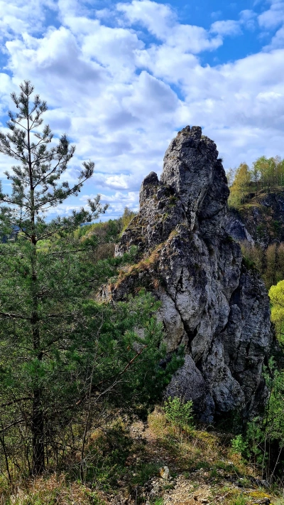 ilustracja aktualności: Spacer do Jurze - Dolinki Krakowskie