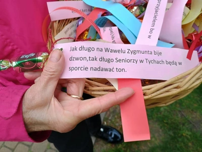 ilustracja aktualności: Dzień Sportu - sportowe święto wszystkich seniorów