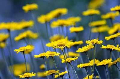 ilustracja aktualności: Uniwersytet Letni