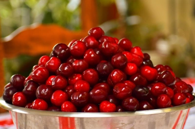 ilustracja aktualności: Harmonogram wydarzeń w czerwcu i lipcu