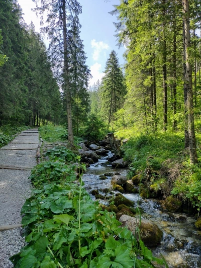 ilustracja aktualności: Dolina Małej Łąki - informacja dla uczestników wycieczki