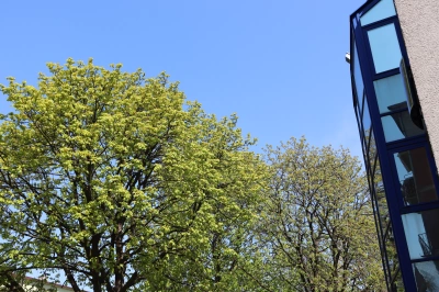 ilustracja aktualności: Komunikat UTW Tychy - przerwa w funkcjonowaniu Rektoratu