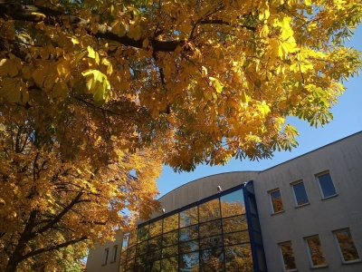 ilustracja aktualności: Zajęcia sekcji kulturalno - literackiej odwołane