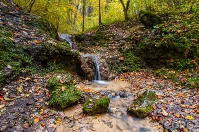 ilustracja aktualności: Spacer z Panem Zbyszkiem Łukasikiem