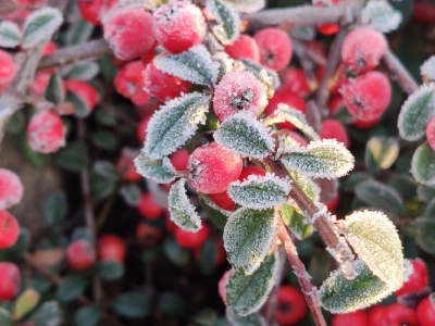 ilustracja aktualności: Kalendarz UTW AWSB