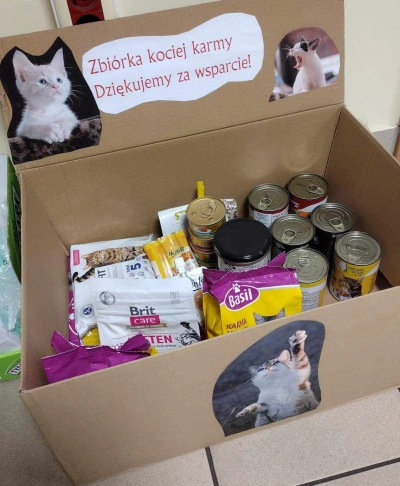 ilustracja aktualności: Pom&oacute;żmy Mruczkom